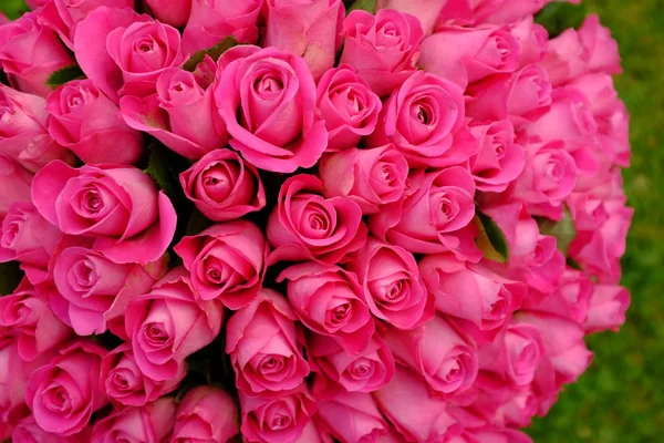 粉红色玫瑰花束的背景图片 — 图库照片