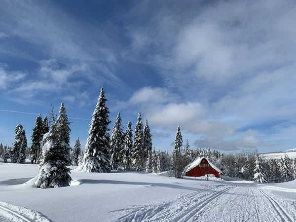 Zimní krajina s modifikovanou lyžařskou trasami v Krkonoše horách, Česká republika. — Stock fotografie