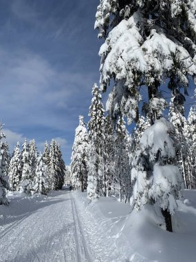 Krkonose Dağları, Çek Cumhuriyeti değiştirilmiş bir kros kayak parkurları ile kış manzara.
