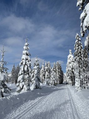 Krkonose Dağları, Çek Cumhuriyeti değiştirilmiş bir kros kayak parkurları ile kış manzara.
