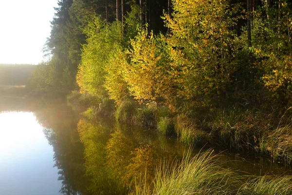 Paisagem de outono com um reflexo no lago — Fotografia de Stock