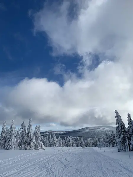 Hermoso día helado en Krkonose, árboles cubiertos de nieve blanca contra el paisaje invernal . —  Fotos de Stock