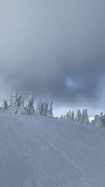 Einem Frostig Schönen Tag Inmitten Hoher Berge Stehen Zauberhafte Bäume — Stockvideo