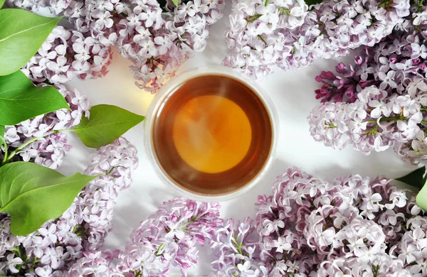 Glass Cup Tea Flower Background — Stock Photo, Image