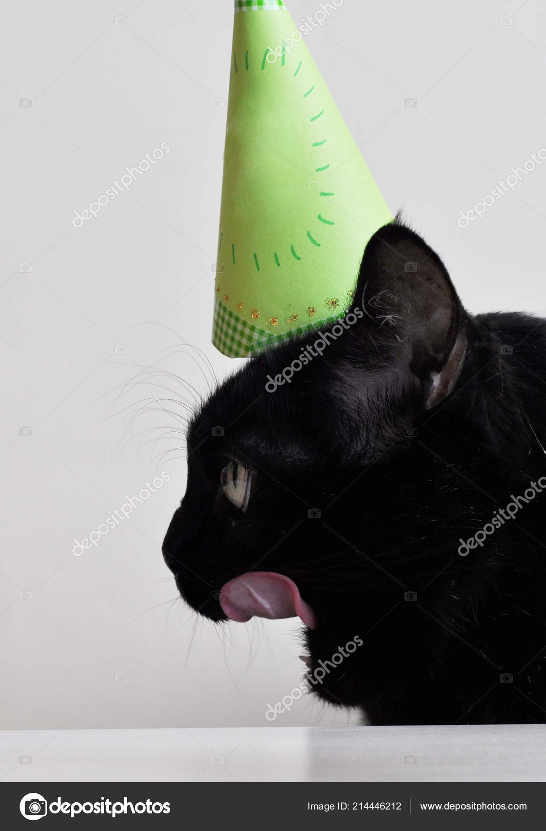 Geburtstag Die Schwarze Katze Grüne Kappe Mit Einer Zunge