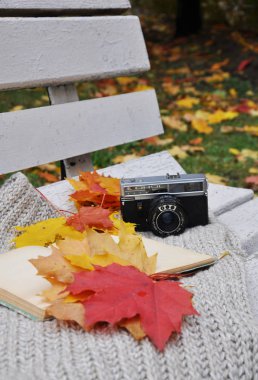 Sonbahar yaprakları ve eski fotoğraf makinesi olan temiz eski bir kitap.