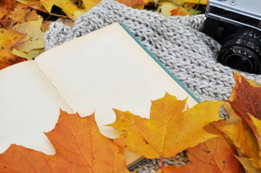 Sonbahar yaprakları ve eski fotoğraf makinesi olan temiz eski bir kitap.