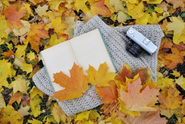 Sonbahar yaprakları ve eski fotoğraf makinesi olan temiz eski bir kitap.