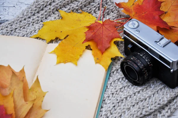 Clean Old Book Autumn Leaves Old Camera — Stock Photo, Image