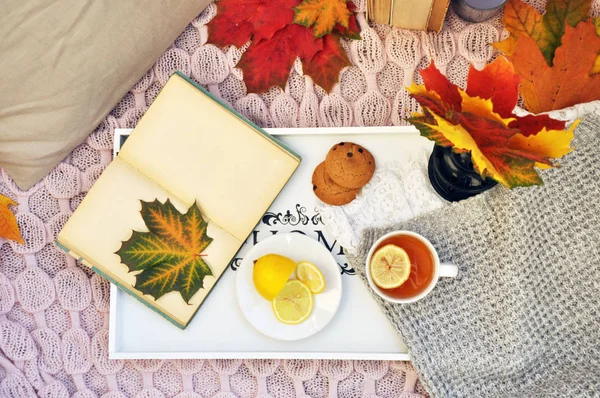 Old Book Autumn Leaves Hot Tea — Stock Photo, Image