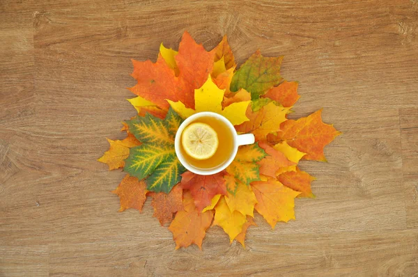 Cup Tea Lemon Autumn Leaves — Stock Photo, Image