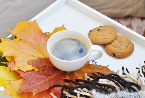Cup Hot Coffee Cookies Autumn Background — Stock Photo, Image