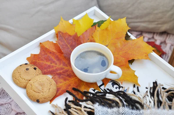 Cup Hot Coffee Cookies Autumn Background — Stock Photo, Image