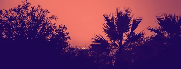 Paesaggio Estivo Con Vista Mare Tramonto Concetto Tonificante Nel Colore — Foto Stock