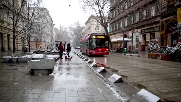 BUDAPEST, 20 ENERO 2019 Los residentes de la ciudad en la calle principal nevada en Budapest, Hungría — Vídeo de stock