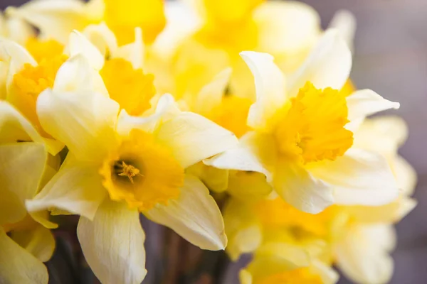 Ramillete de narcisos amarillos en un jarrón blanco sobre una mesa de madera al aire libre —  Fotos de Stock