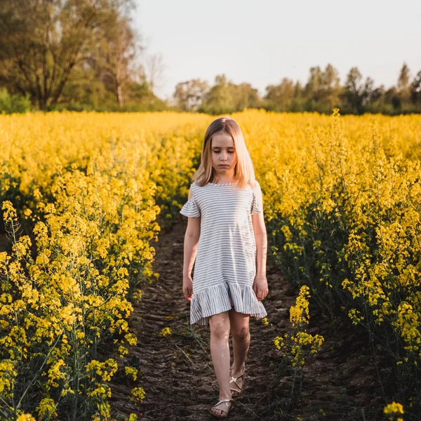 Kleines Mädchen spaziert in einem Rapsfeld — Stockfoto