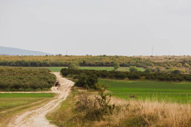 Kırsal tarafta yolda kırmızı traktör. Elma bahçesi. Macaristan.