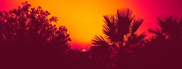 Paisagem Verão Com Vista Para Mar Pôr Sol Conceito Tonificação — Fotografia de Stock