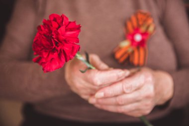 Mayıs 9 Rus tatil Zafer Bayramı kavramı arka plan. Yaşlı kadın elinde kırmızı bir karanfil tutan ve St. George's şerit. Yakın çekim. Tonda vintage. Seçici odak