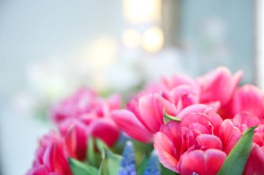 Arka plan için yumuşak tarzda pembe çiçekler. Odak dışında, bulanıklık