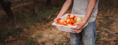 Elinde organik nektarindolu bir kutu tutan adam. Toplama
