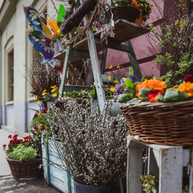 Budapeşte'de pazarda çiçek satan bir dükkan