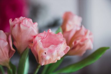 Arka plan için yumuşak tarzda pembe çiçekler