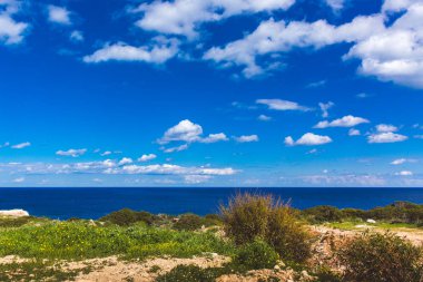 Kıbrıs 'ta Seascape Ayia Napa, Ulusal Orman Parkı