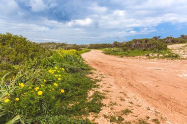 Denizin kenarında güzel bir vadi. Sahil boyunca yol yolu. Kıbrıs 'ta Seascape Ayia Napa
