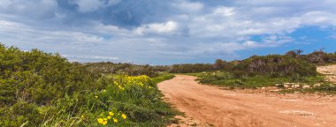 Denizin kenarında güzel bir vadi. Sahil boyunca yol yolu. Kıbrıs 'ta Seascape Ayia Napa