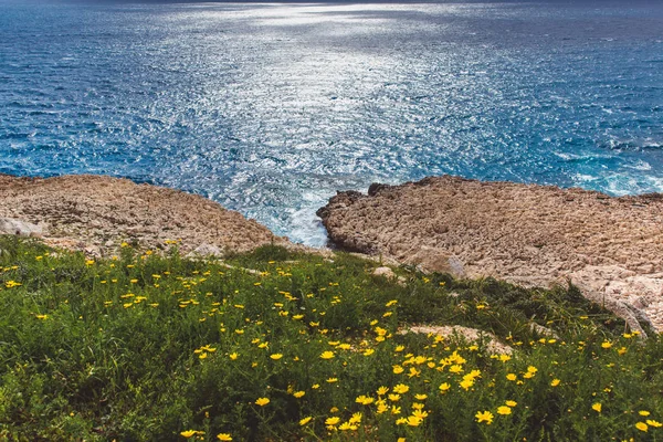 Kypr Ayia Napa, poloostrov Cape Greco, national forest park — Stock fotografie