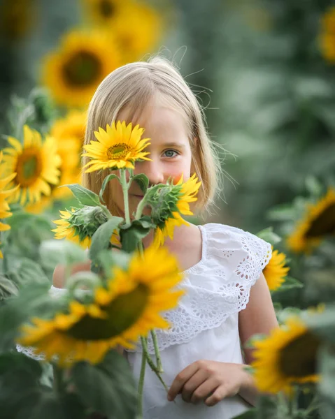 Schöne kleine Mädchen in einem Sommer Sonnenblume buntes Feld — Stockfoto