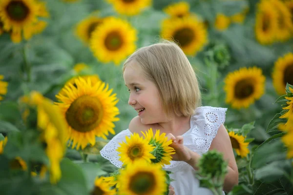 Krásná holčička v létě slunečnice barevné pole — Stock fotografie