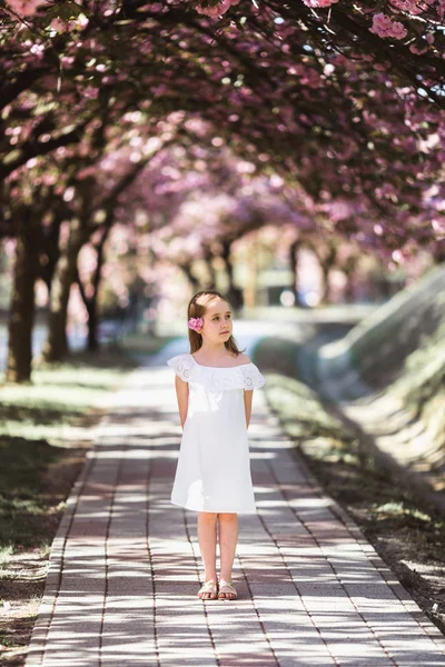 Entzückendes kleines Mädchen in weißem Kleid im blühenden rosa Garten an einem schönen Frühlingstag — Stockfoto