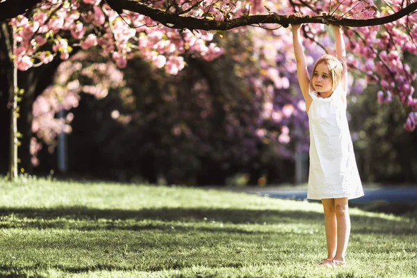 Entzückendes kleines Mädchen in weißem Kleid im blühenden rosa Garten an einem schönen Frühlingstag — Stockfoto