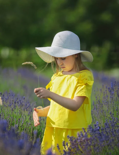 Piękna dziewczynka w żółtej sukni i białego kapelusza chodzenie w polu lawendy — Zdjęcie stockowe