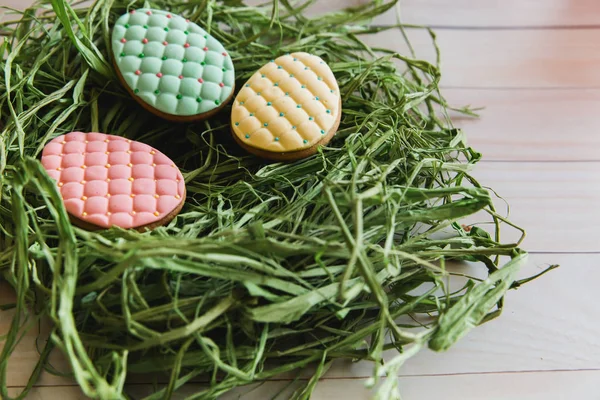 Színes húsvéti tojás a cookie-k fészek világos fából készült háttér — Stock Fotó