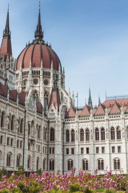Parlamento Macaristan Manzaralı Bahar çiçeği ,Budapeşte