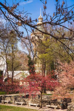Budapeşte Margaret adasında merkezi parkta eski bir Dominik manastırının kalıntıları, Macaristan