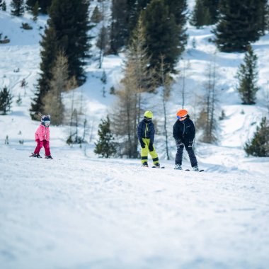 Kış sahnesi: Bir grup çocuk kayak öğreniyor