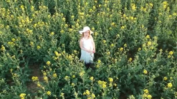 Antenne - fliegendes kleines Mädchen in weißem Kleid und Hut im Rapsfeld — Stockvideo