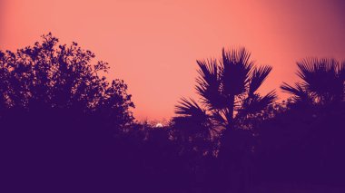 Gün batımında deniz manzaralı yazlık manzara. Yıl 2019 renkte tonlama kavramı