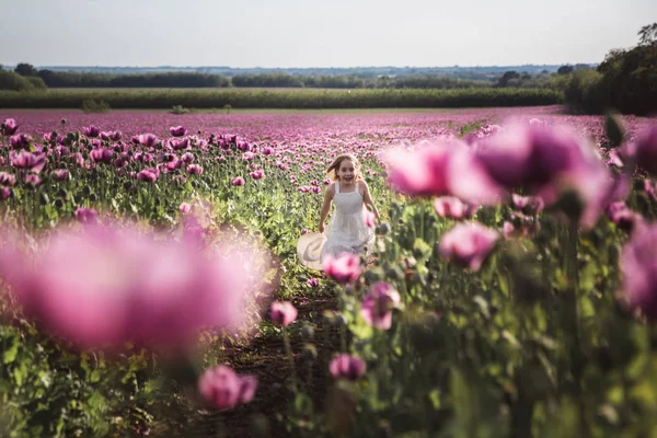 Imádnivaló kislány, hosszú hajú, fehér ruhában magányos séta a lila mák virágok területén — Stock Fotó