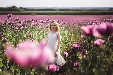Beyaz elbiseli uzun saçlı sevimli küçük kız lila haşhaş çiçekleri alanında yalnız yürüyüş