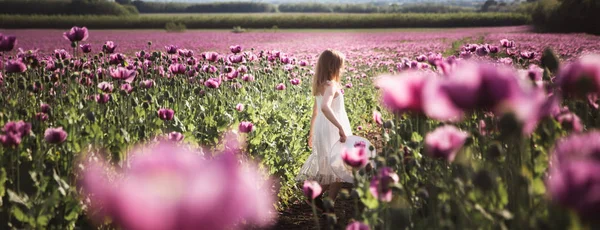 Imádnivaló kislány, hosszú hajú, fehér ruhában magányos séta a lila mák virágok területén — Stock Fotó