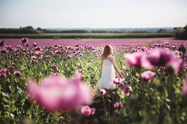 Adorável menina com cabelos longos em vestido branco solitário andando no campo Lilac Poppy Flowers — Fotografia de Stock