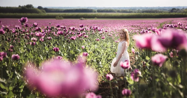 Entzückende kleine Mädchen mit langen Haaren in weißem Kleid einsam zu Fuß in der lila Mohnblumen Feld — Stockfoto