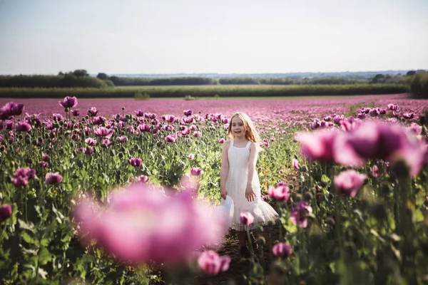 Entzückende kleine Mädchen mit langen Haaren in weißem Kleid einsam zu Fuß in der lila Mohnblumen Feld — Stockfoto