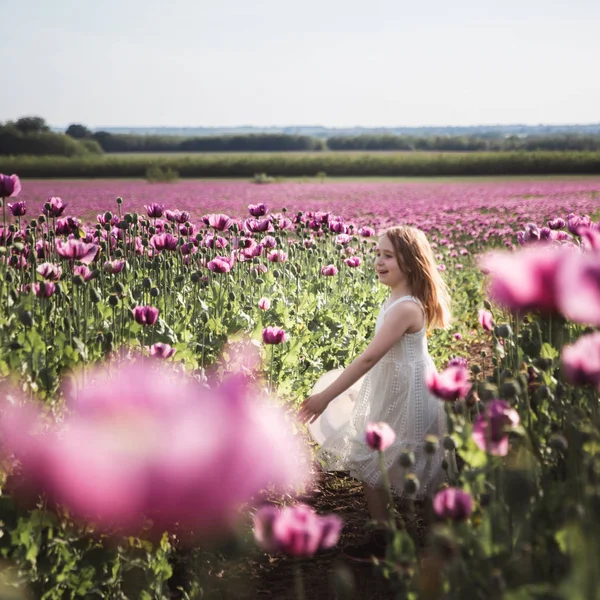 Beyaz elbiseli uzun saçlı sevimli küçük kız lila haşhaş çiçekleri alanında yalnız yürüyüş — Stok fotoğraf